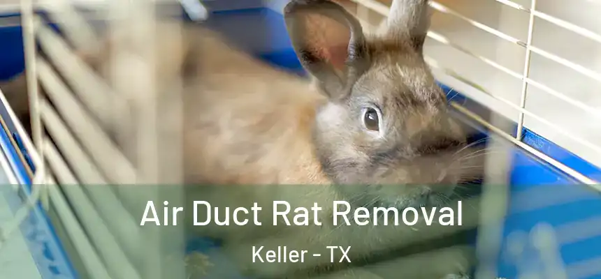 Air Duct Rat Removal Keller - TX