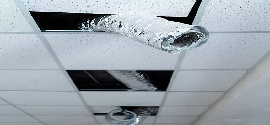 Our Air Duct Pet Hair Removal Services in Keller, TX