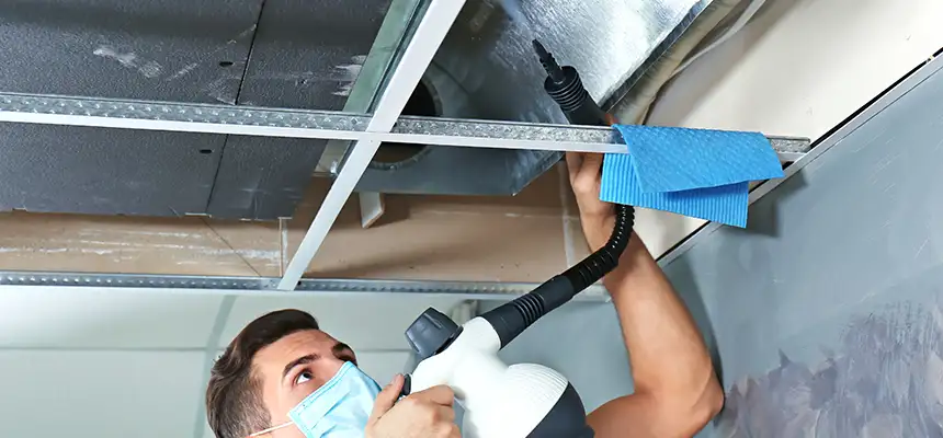 Our Air Duct Rodent Removal Services in Keller, TX