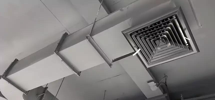 Restorative Allergy Relief Vent Cleaning – Coil, Blower & Housing Detail in Keller