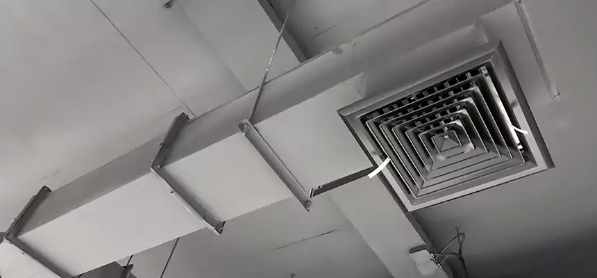 Our Rodent Droppings In Vents Services in Keller, TX