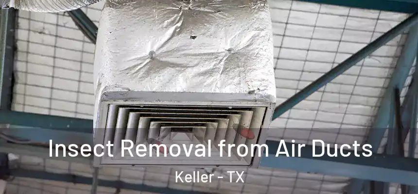Insect Removal from Air Ducts Keller - TX