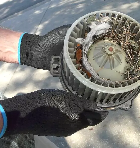 About Air Duct Rat Removal in Keller, TX