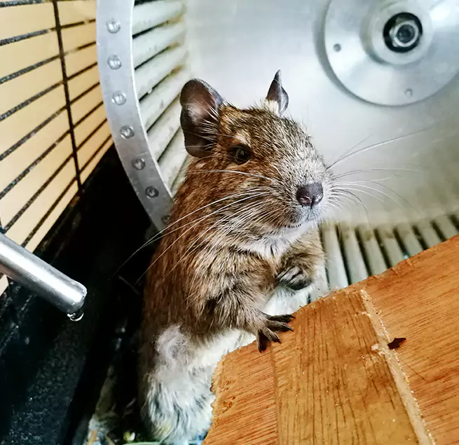 Why Homeowners & Businesses Trust Us Keller, TX