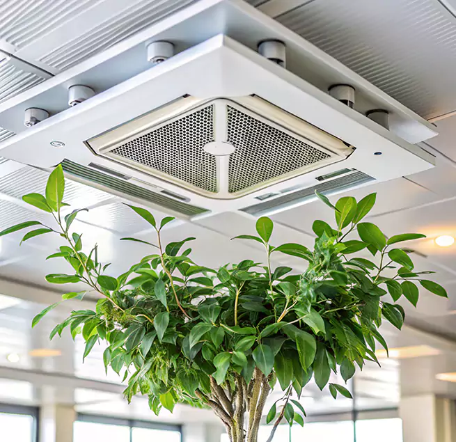 Why Homeowners & Businesses Trust Us in Keller, TX