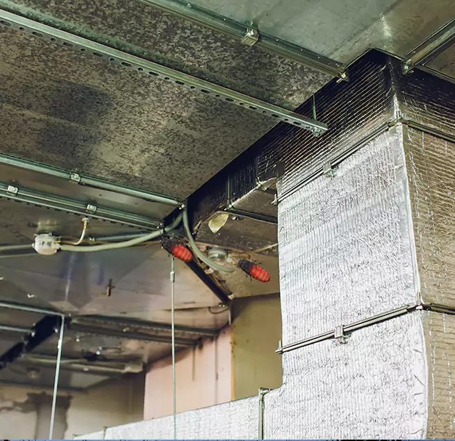 Why Homeowners & Businesses Trust Us Keller, TX?