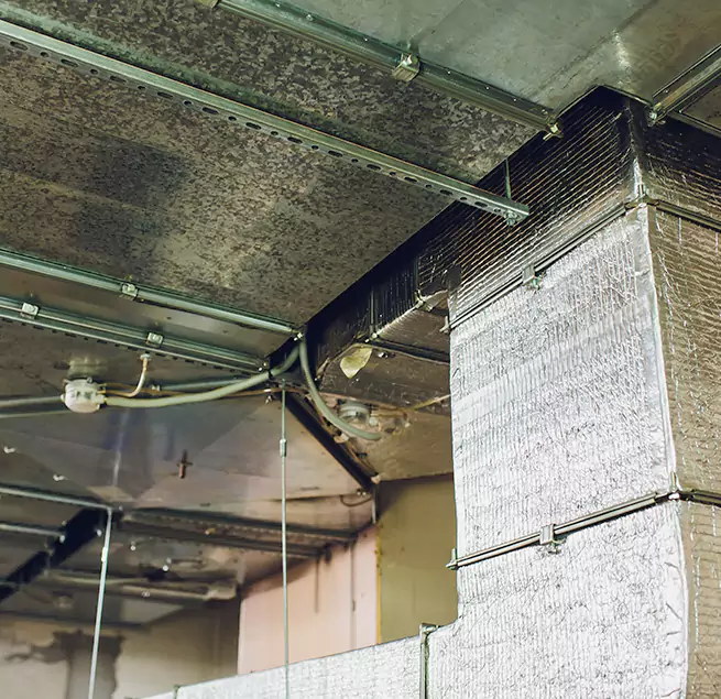 Why Homeowners & Businesses Trust Us in Keller, TX?